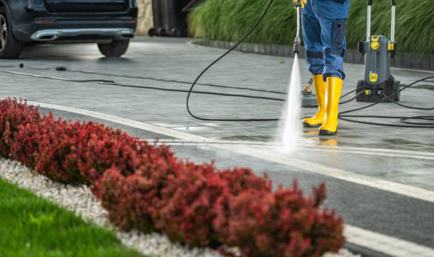 Best Sidewalk and Walkway Cleaning  in Walthourville, GA