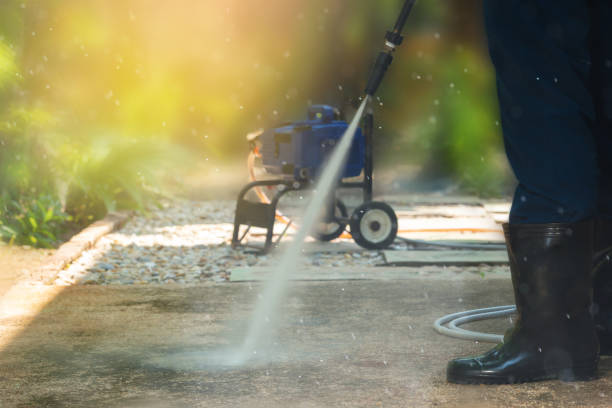 Best Soft Washing  in Walthourville, GA